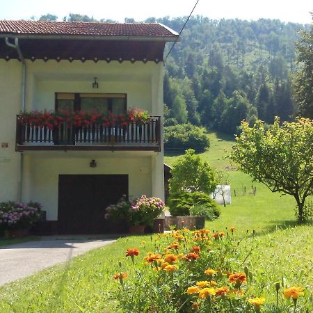 Vrata Pri Cepovanu Villa Bagian luar foto