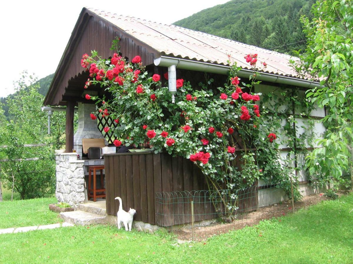 Vrata Pri Cepovanu Villa Bagian luar foto