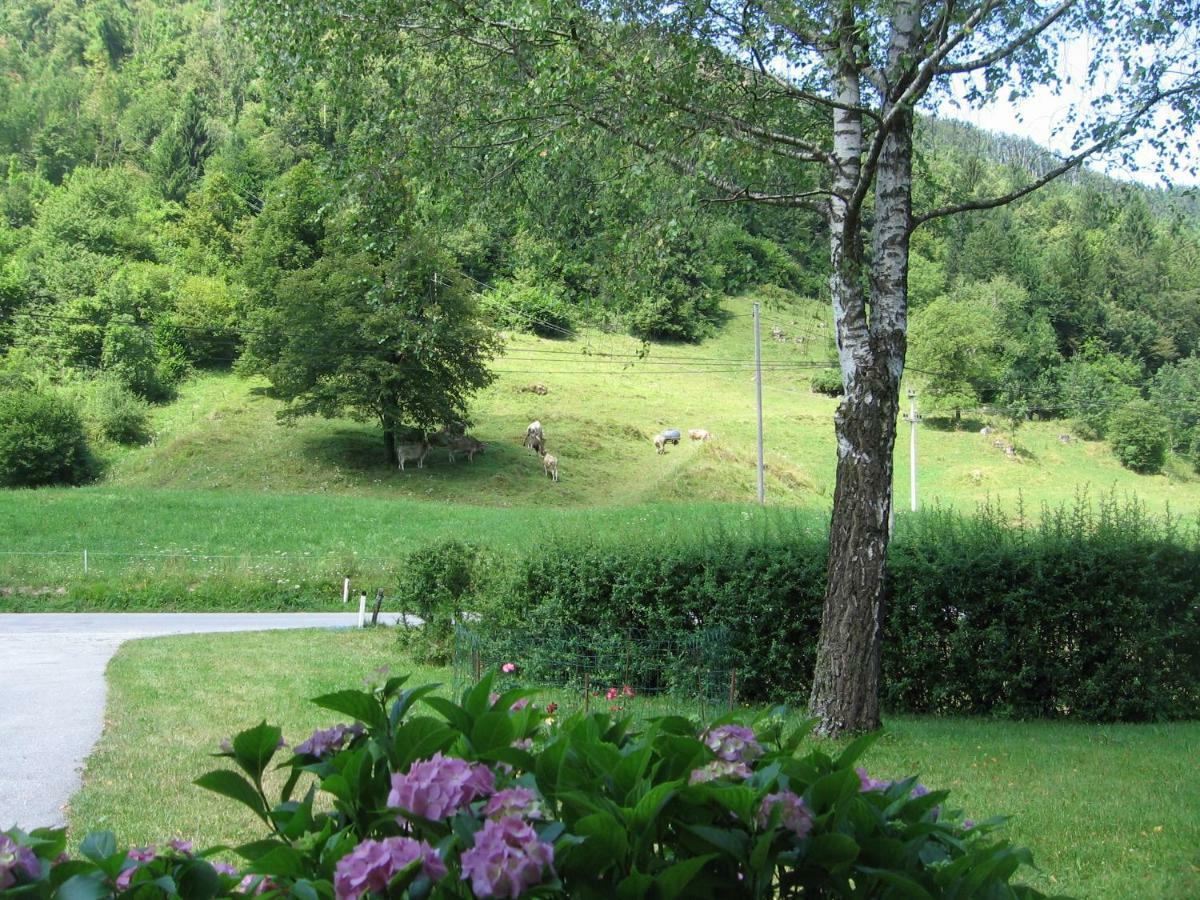 Vrata Pri Cepovanu Villa Bagian luar foto