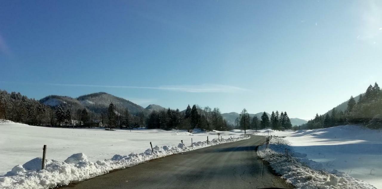 Vrata Pri Cepovanu Villa Bagian luar foto