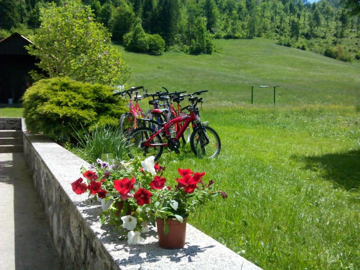 Vrata Pri Cepovanu Villa Bagian luar foto